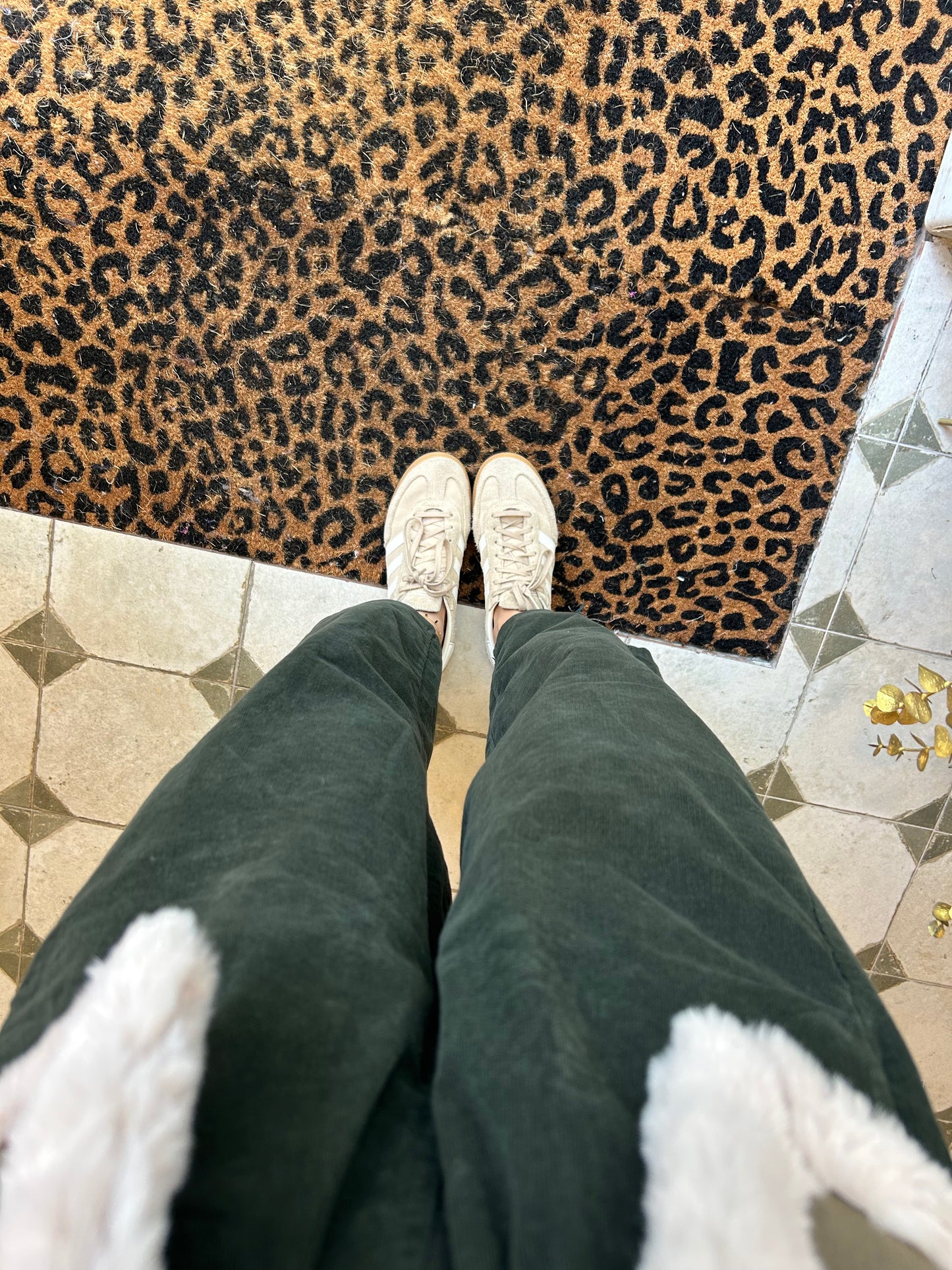 Pantalon Magique en velours kaki - Johanna Paris